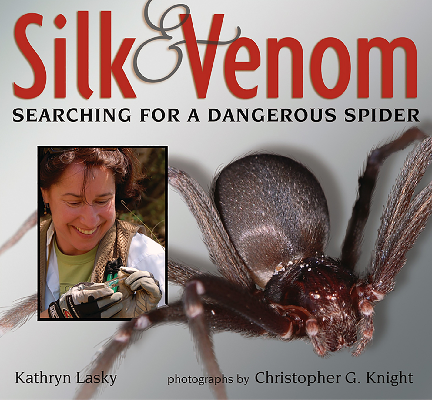 Booklist Review of Silk and Venom
