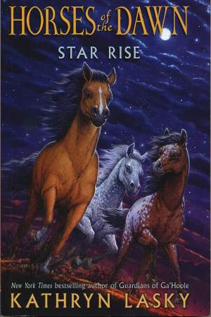 Star Rise Cover