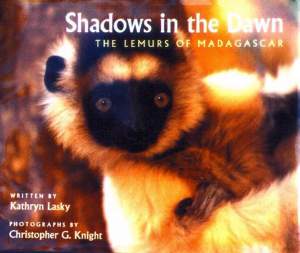 Shadows in the Dawn: The Lemurs of Madagascar Cover