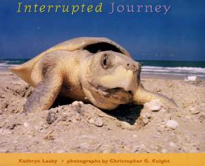 Interrupted Journey: Saving Endangered Sea Turtles Cover