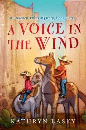 A Voice in the Wind: Cover